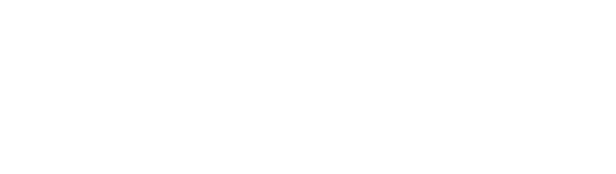 Logo White